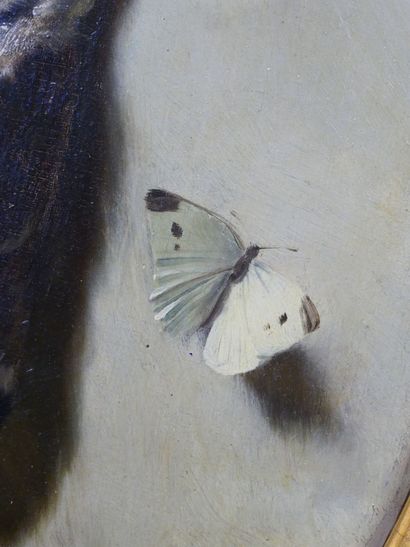 null Philippe ROUSSEAU (1816-1887)
Nature morte à l'oiseau, cerises et papillon
Huile...