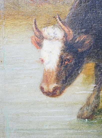 null École de la fin du XIXe siècle 
Vaches 
Huile sur toile portant une signature...