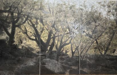 null Yang CHENG (1974)

"Forest"
Oil on canvas 
Signed and dated (2006 ?) lower right...