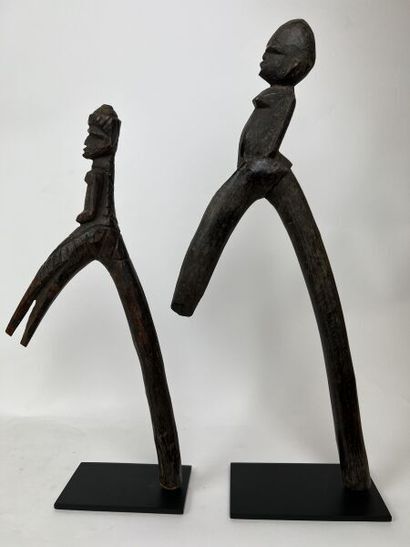 null BURKINA FASO - LOBI People



Lot of two "Khulor" canes of dances and divinations...