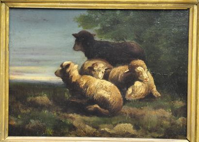 null École française du XIXe siècle
Moutons 
Huile sur panneau 
Dimensions : 16 x...