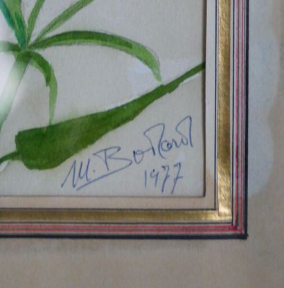 null Madeleine BODARD (1906-1987) 
Fleurs champêtres 
Aquarelle et crayon sur papier...