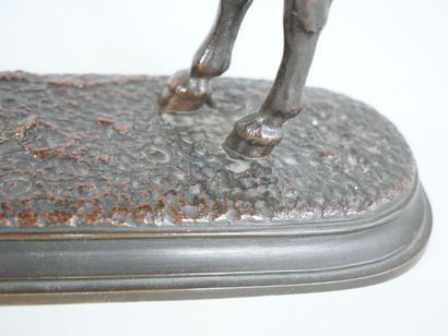 null Dans le goût de Auguste CAIN (1821-1894) 
Âne d'Afrique 
Sculpture en bronze...
