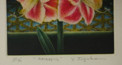null JAPON XXe
Amaryllis
Gravure en couleur numérotée 35/90 et signée en bas à droite...