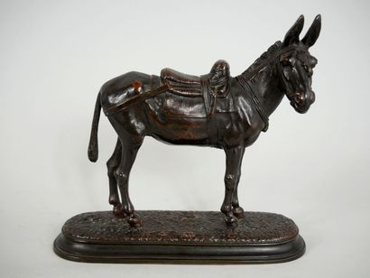 null Dans le goût de Auguste CAIN (1821-1894) 
Âne d'Afrique 
Sculpture en bronze...
