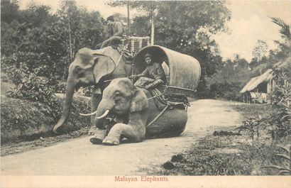 null 7 CARTES POSTALES MALAISIE : Moyens de Locomotion. "River-Scene-Federated Malay...