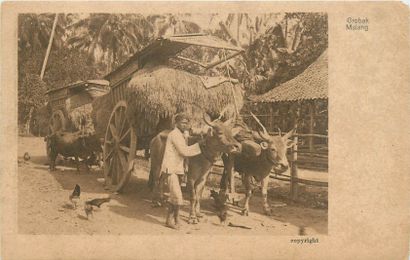 null 163 CARTES POSTALES INDONESIE : Indes Néerlandaises - Java Orientale. Qqs animations,...