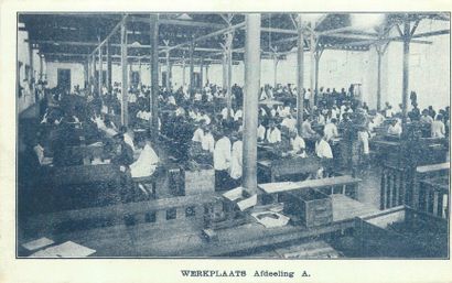 null 12 FACTORY POSTCARDS: Indonesia - Cigar Factory in Magelang, unwritten, untraveled...