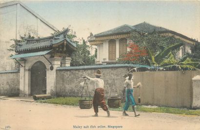 null 6 POSTCARDS MALAYSIA: Singapore - Trades - Man. Selection. "Fortune teller (state),...