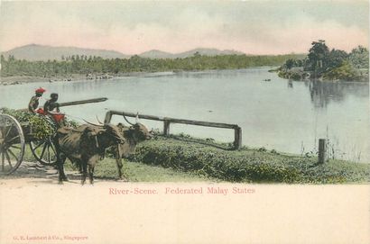 null 7 POSTCARDS MALAYSIA: Means of Locomotion. "River-Scene-Federated Malay States...