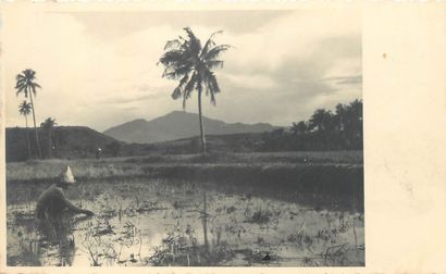 null 23 PHOTO MAPS INDONESIA : Dutch Indies. Located and/or to be located. "Church,...
