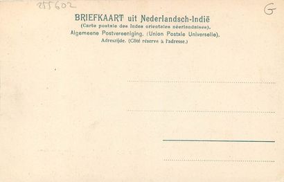 null 163 POSTCARDS INDONESIA: Dutch Indies - East Java. Qqs animations, qqs sites,...