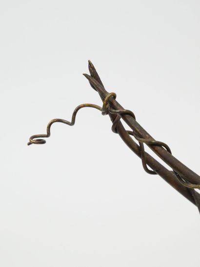 null JAPON : 
Ensemble en bronze à patine brune comprenant une écrevisse, les antennes...