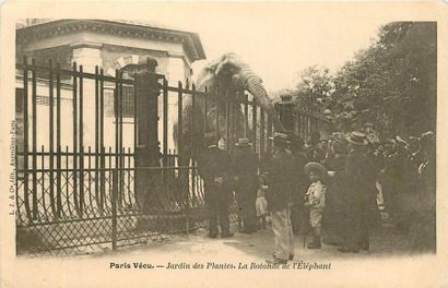 null 19 CARTES POSTALES PARIS VECU: Parcs et Jardins. "6cp-Aux Tuileries, 4cp-Jardin...