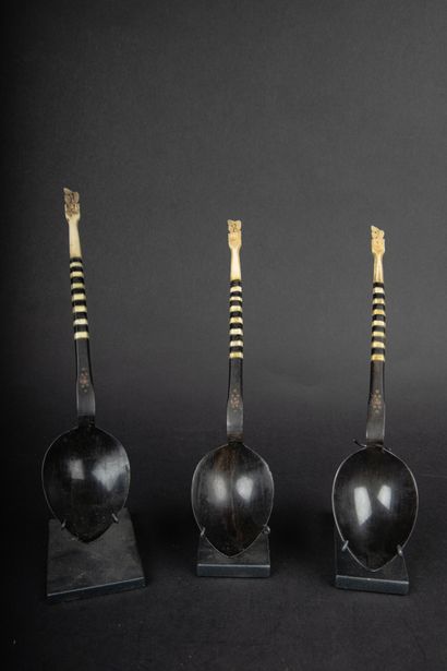 null MIDDLE EAST
Set of 3 spoons in horn and bone
Beginning of the 20th century or...