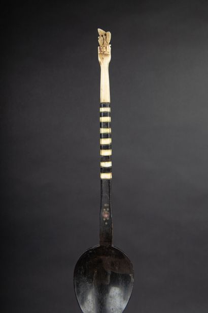 null MIDDLE EAST
Set of 3 spoons in horn and bone
Beginning of the 20th century or...