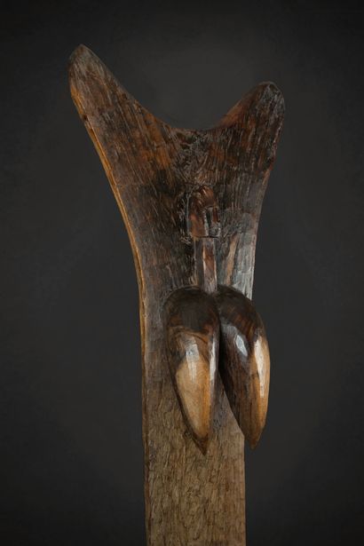 null MALI
Tog'una - Élément architectural (poteau de soutien) en bois sculpté
Dogon
Début...