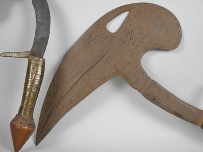 null GABON - peuple KOTA

Deux couteaux de jet à lame de fer en forme de bec de calao,...