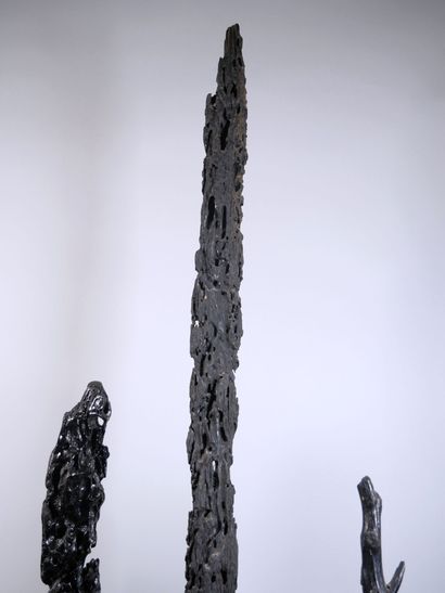 null Set of sculptures in black-painted driftwood on pedestals. 
Dimensions of tallest:...