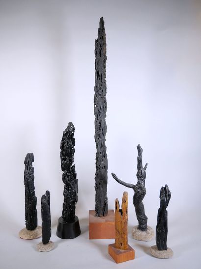 null Set of sculptures in black-painted driftwood on pedestals. 
Dimensions of tallest:...