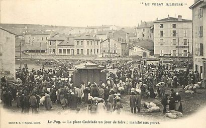 null 18 CARTES POSTALES MARCHES: Dépts 36 à 59-Animaliers. Dont" Le Puy-La place...