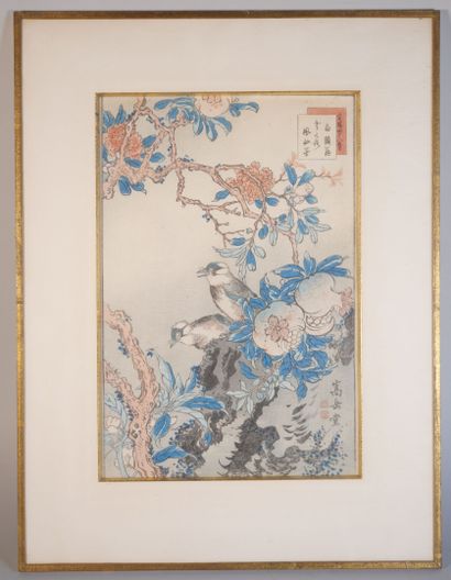 Nakayama SUGAKUDO (actif entre 1850 et 1860)
Oiseaux...
