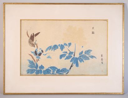 D'après Kitao MASAYOSHI (1764-1824) 
Oiseau...