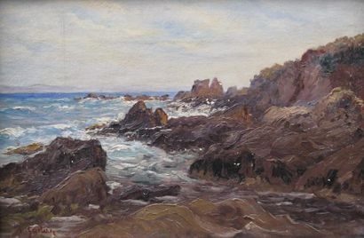 Antoine GADAN (1854-1934) Côte rocheuse Huile sur toile signée en bas à gauche. 28...