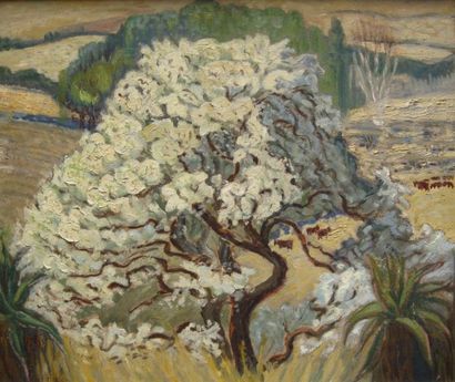Leonora EVERARD HADEN (née en 1937) Cerisier en fleur Huile sur isorel signée en...