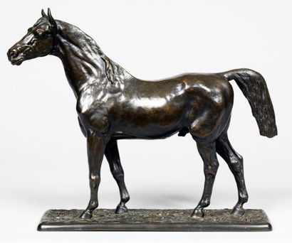 CHRISTOPHE FRATIN (1801-1864) (d'après) Cheval arabe Épreuve en bronze à patine brune...