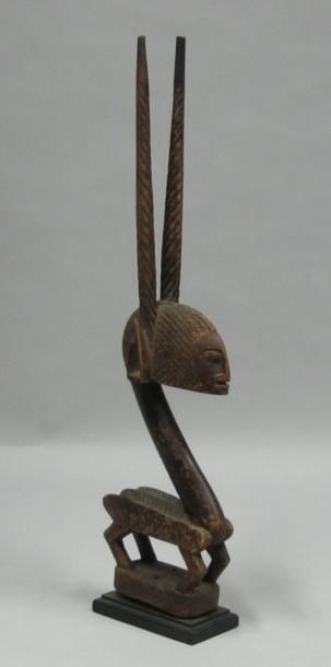 Afrique* Cimier en forme d'antilope en bois sculpté. H: 54 cm