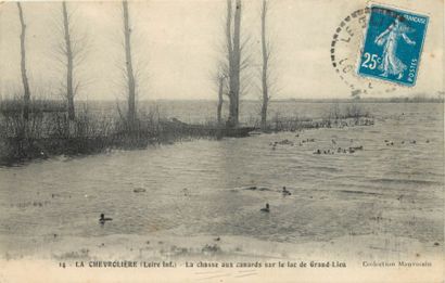null 25 CARTES POSTALES CHASSE : Sélection - Gibier d'Eau & Oiseaux en Loire Atlantique....
