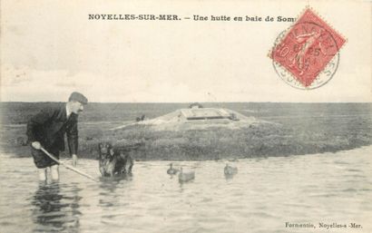 null 9 CARTES POSTALES CHASSE : Sélection - Gibier d'Eau Baie de Somme-Noyelles sur...