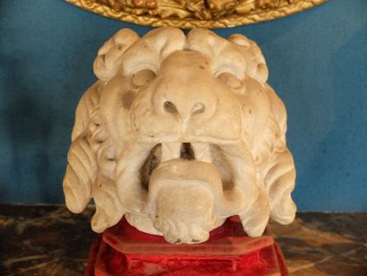 null Tête de lion en pierre calcaire sculptée reposant sur une base gainée de velours...