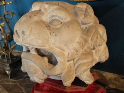 null Tête de lion en pierre calcaire sculptée reposant sur une base gainée de velours...