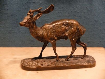 Pierre-Jules MENE (1795-1875) Cerf debout. Épreuve en bronze à patine brune signée...