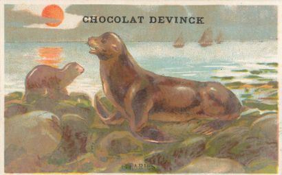 null 815 CHROMOS : Les Chocolats à Paris. 92-Compagnie Française, 40-Le Planteur,...