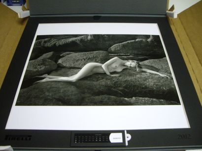 null CALENDRIER PIRELLI : 2012-Mario Sorrenti - Swoon. 12 photographies couleurs...