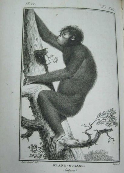 null VIREY (J.J.). Histoire naturelle du genre humain. Paris, de l’imprimerie Dufart,...