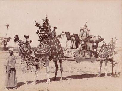 null ZANGAKI et LEGEKIAN : Egypte, Le Caire, types et scènes de rue, c.1880. Quatre...