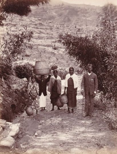null INDE DU SUD (ou Sri Lanka) : Porteur de thé et scène de village, c.1890. Deux...