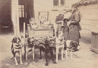 null ANONYME : Calèches à chiens, c.1890-1920. Sept tirages albuminés et argentiques...