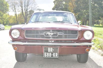 null Ford Mustang coupé 289, 1965. 

Carrosserie bordeaux métallisé en très bon état.

...