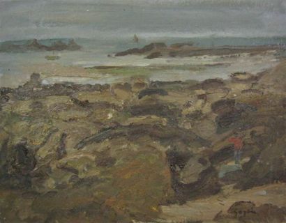 null Pierre GOGOIS (né en 1935)

Paysage de bord de mer

Huile sur toile signée en...
