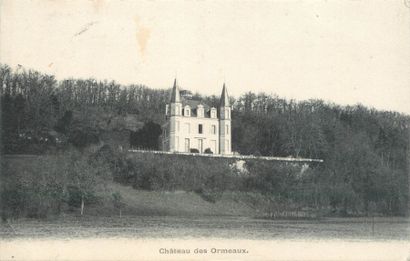 null 50 CARTES POSTALES CHATEAUX : Majorité Indre et Loire. Dont" Saint Avertin-Château...