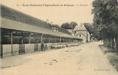 null 171 CARTES POSTALES ENSEIGNEMENT : Yvelines - Ecole Nationale d'Agriculture....