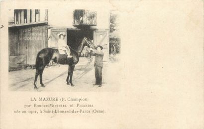 null 35 CARTES POSTALES LES CHEVAUX : Courses, Hippodromes & Divers. Dont" Chantilly-Les...