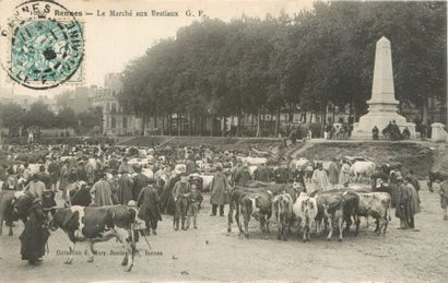 null 10 CARTES POSTALES LES MARCHES : Petite Sélection. "Clermont Ferrand-Le marché...