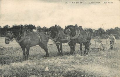 null 11 CARTES POSTALES AGRICULTURE : Sélection. Dont" Visite Officielle au Concours...