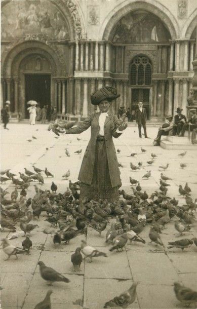 null 44 CARTES POSTALES LES ANIMAUX : Divers. Dont" Cph-Les Pigeons de la Place St...